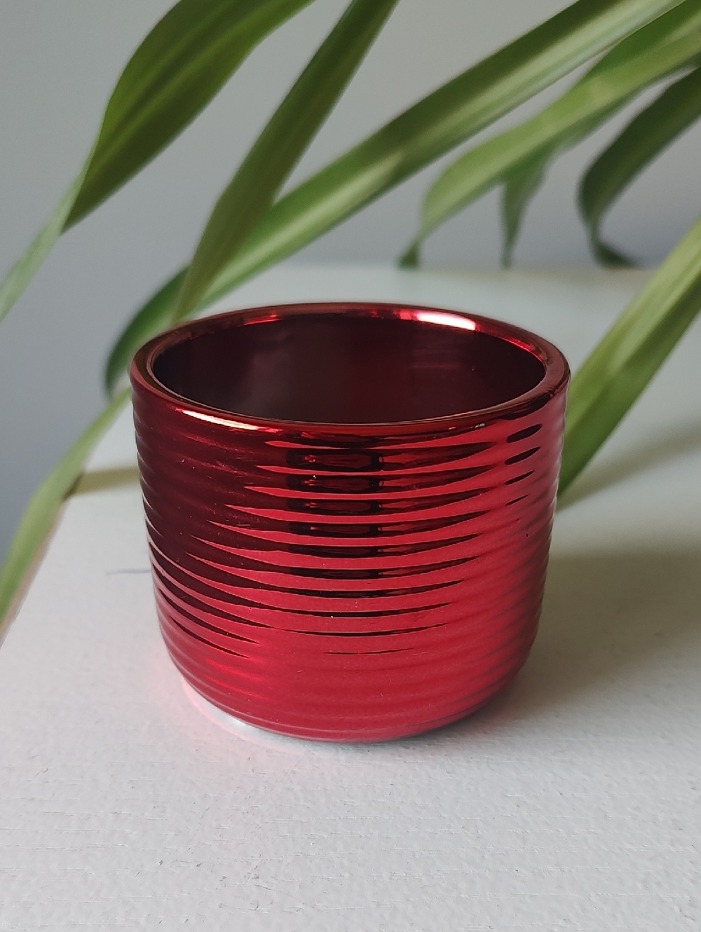 Red Ribbed Pot
